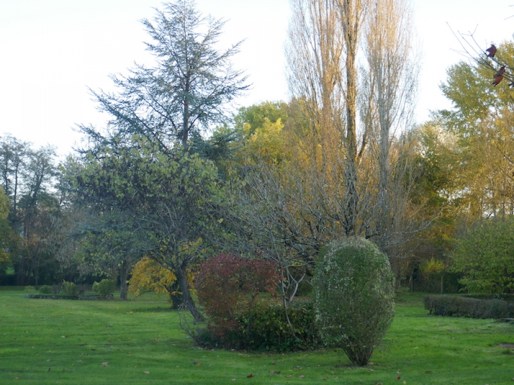 Charmante proprit dorigine 1910 sur trs beau parc denviron 1 hectare