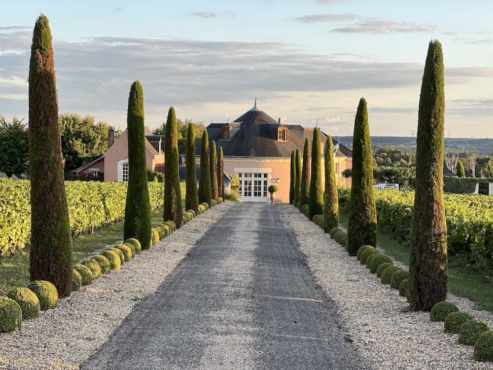PROPRIETE DE VILLAGE XVIIIème avec dépendances, piscine sur 2ha dont 1 ha de vignes