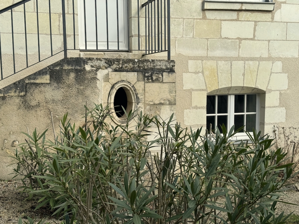 Charmante maison de ville d’origine XVIIème rénovée avec grand jardin et dépendance